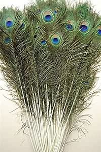 10 Pcs Natural Peacock Feathers: Long and Lush, 35"-40"