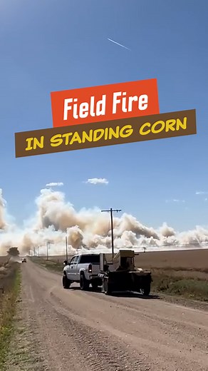 Field Fire In Standing Corn | Laura Farms
