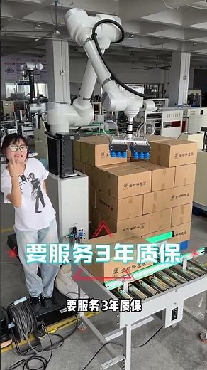 There is really nothing much to say Fully automatic palletizer Automatic palletizer Carton Palletize