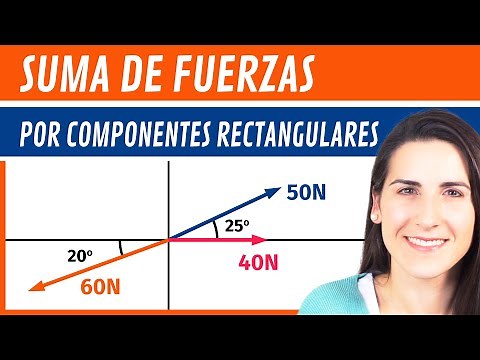 SUMA de FUERZAS por Componentes Rectangulares 💪