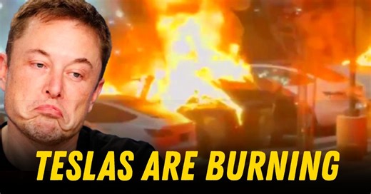 Tesla Faces Nationwide Protests and Stock Crisis Amid Political Tensions