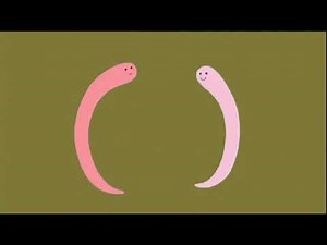 Fimbles: Series 1: Feather Boa