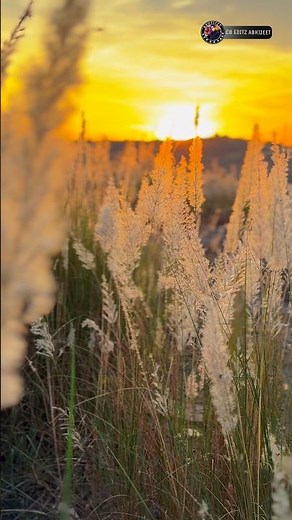 Cinematic | motion effect | 4k60fps video | how to make cinematic video #cbeditzabhijeet #cinematic