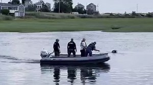 UPDATED:  Landscaper dies after jumping from Edward Foster Bridge into Scituate Harbor