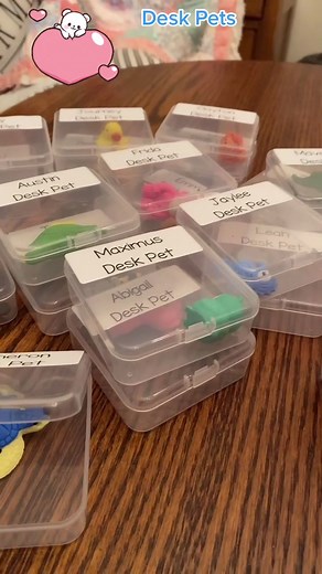 Fun Desk Pets for School and Teachers