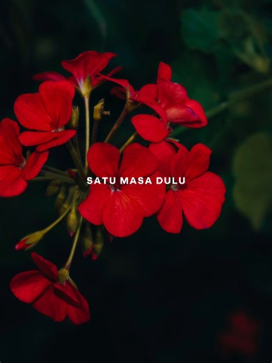 Satu Masa Dulu #CapCut #trending #capcutpioneer #liriklagu #pioneertemplate