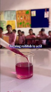 Beetroot (Natural acid base indicator)