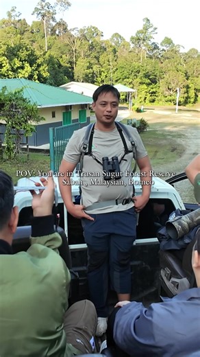 Experience the Wild Side of Borneo Safari