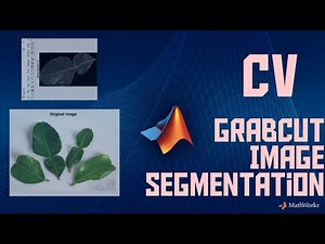 Project 2 : [ MATLAB ] Computer Vision - GrabCut Image Segmentation