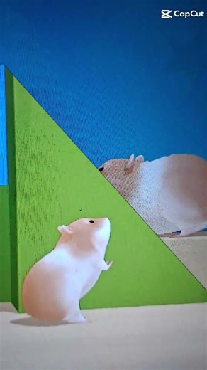 hamster #gaming #memes