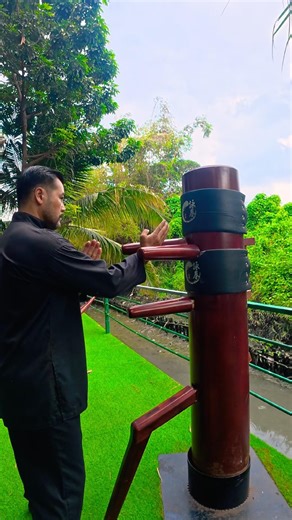 Training and and absorbing the moves #masterphan #woodendummy #wingchun #wingtsun #phansifu #kungfu