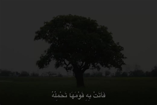 تلاوة الشيخ أحمد نعينع الميمونة