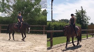 À votre avis, lequel de Qap'taine ou Amazone a la cadence la plus régulière au trot ? 🤔 Equisense Motion vous donne la réponse en image 🦄 👍 | Equisense
