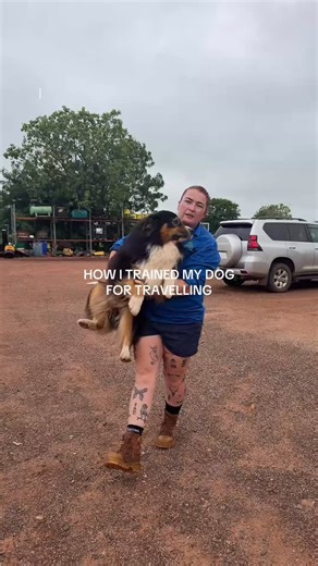 Sienna Mallon on Instagram: "How I trained my Australian Shepherd from a puppy to travel the country with me. #australianshepherd #dogtraining #dogtrainingtips #travellingwithdogs #dogtravel"