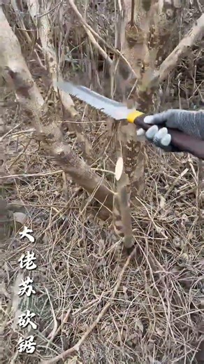 wooden Cutting Machine #wooddesigner #cuttingboard #woodcuttingmachine #woodworking #woodscraf#wood