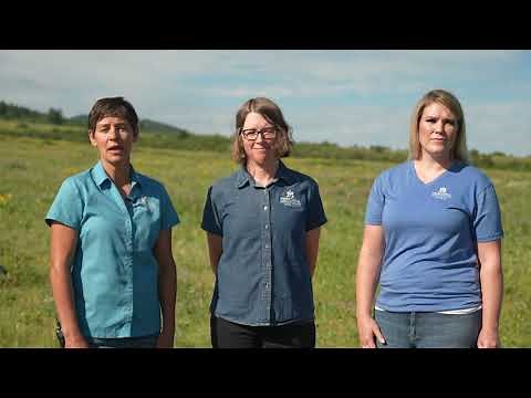 Native Plants and Noxious Weed Management