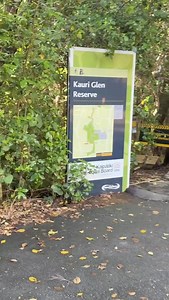 Took a walk among the trees at Kauri Glen Reserve. Such a beautiful, peaceful place in the middle of Auckland. Who knew! #nzbeauty #kauri #auckland #aucklandtourist #free | Jay-Jay Feeney