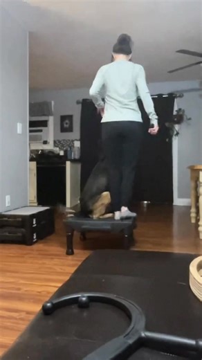 Training a dog will test your consistency, your patience, and your energy…the same things that build character everywhere else in life. You build more than obedience…you build yourself. | Birch & Sage Training
