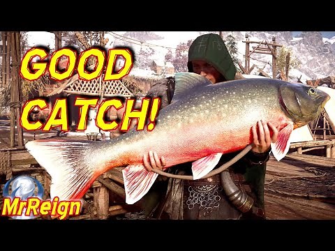 Assassin's Creed Valhalla - GOOD CATCH - Ultimate Fishing Guide - All Fish Locations