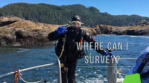 1K views · 19 reactions | A quick 2 min get started guide to our Volunteer Fish Survey Project. It's easy and fun! #citizenscience #divingthatcounts #scubadiving #snorkeling #freediving | REEF Reef Environmental Education Foundation | Facebook
