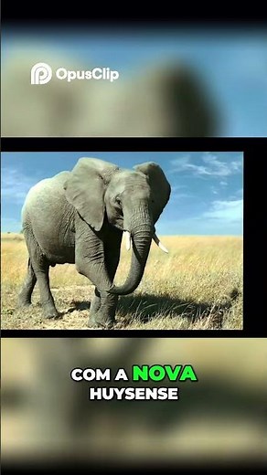 Hisense U6 Mini LED: The TV That Surprised Everyone! Is it Really Worth It in 2025? 🔥