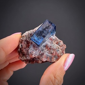 Halite and Sylvite - 10th Ore Zone, Kerr McGee Mine, Carlsbad Potash Mining Dist., Eddy Co., New Mexico, USA More info: https://www.irocks.com/minerals/specimen/53513 A sharp halite crystal highlights this fine miniature-sized specimen from this classic USA locality, 2.3 x 1.3 x 1.0 cm, perched smartly in sylvite matrix. This material came out only briefly over a few years, from about 2008-12; and then was exhausted from the source. The site within the mine is not only forbidden to access, but h