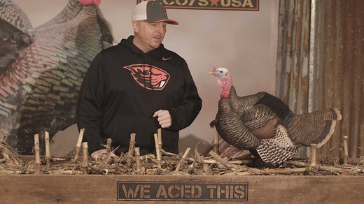 Brand new for 2020! The Posturing Jake is a great option for hunters that want the next level of aggression in their turkey hunting without going up to a full size strutter. It is also a great option for guys that want a more aggressive pose, but want as fast of a setup as possible. The posturing Jake comes with the beard attached, so as fast as you can pull it out of it’s bag, you can be set up and ready to go. | Dave Smith Decoys / DSD