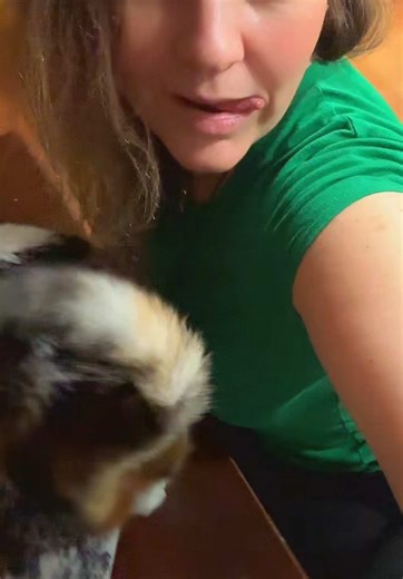 lol #lol #kitty #mykitty