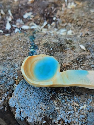 A work of art emerged from an old piece of wood. It was divine. #woodcarving#skill #wood #bushcraft #artist