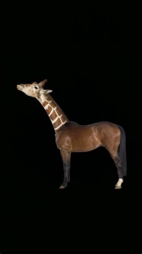 #shortvideo #subscribe #shorts #short