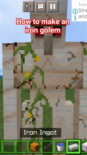 how to make iron golem and feed it #Minecraft