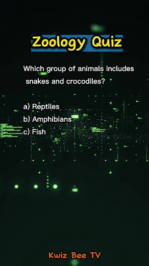 Which group of animals includes snakes and crocodiles? Zoology Quiz #reels #kwizbeetv #reelsvideo #reels2023 #reelsviral #reelsfb #reelsfbpage #fyp #quizbee #quiz #test | Kwiz Bee TV