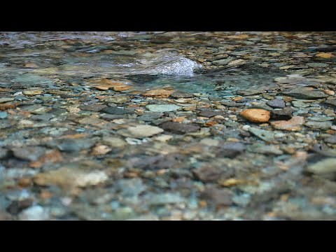 【水の音 集中】やさしい水の音が心身をリラックス 勉強に集中する自然の音 瞑想 癒しBGM