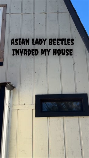 Yall got it. I’m moving out till further notice 😵‍💫 | Reec Swiney