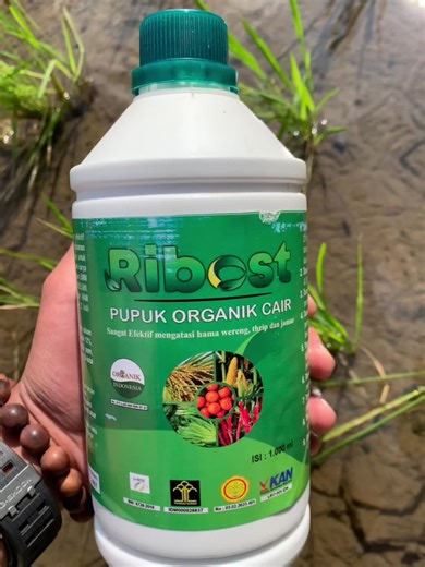 #fyp #pertanian #organik #ribostoffcial #pupuk