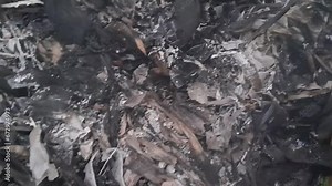 Close up footage 4k of a Burning fall leaves in the incinerator. White smoke and Ashes left over from burning rubbish.