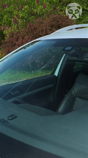 46K views · 29 reactions | Cracked Windshield Fix | Bored Panda | Facebook