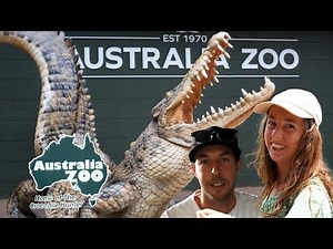A Day at Australia Zoo I Steve Irwin's World-Famous Wildlife Park