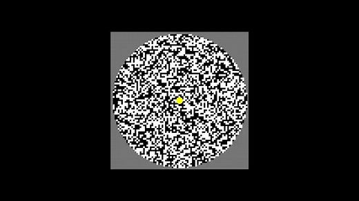 Illusion Forum - ジター錯視 -