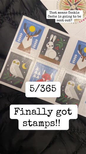 First month of Cookie Cache is going out!! Signups are open for February! #snailmail #monthlymailclub #penpal