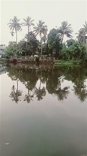 b #song bbb #song bbbb #bollywood bbbbbbbb #bollywoodsongs bbbbbbbbb #2018 bbbbb #