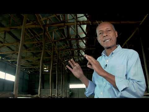 Project Mercy: Transforming smallholder dairy farming in the Chacha area of Ethiopia