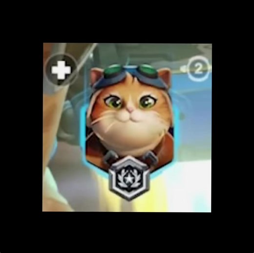 Jetpack Cat in Overwatch: A Fun Edit