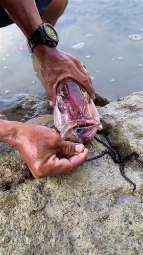 Amazing Discovery Inside a Fish! 😱🐟