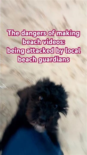 The dangers of recording beach videos