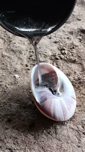 Pouring molten aluminum into a real snail shell 🐌 #casting #satisfying #shorts