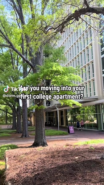 Essential Guide for Your First College Apartment