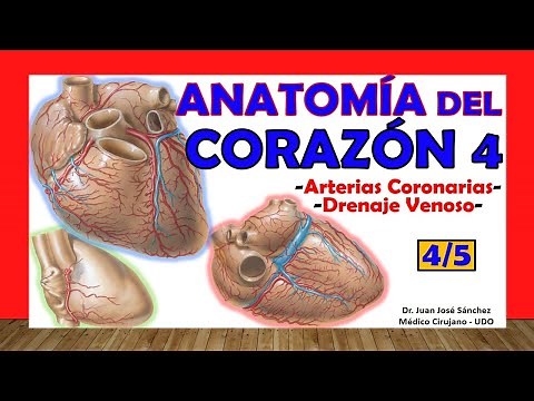 🥇 HEART Anatomy 4/5 - Coronary Arteries, Venous Drainage