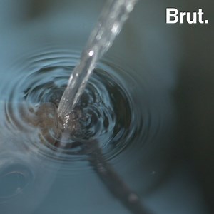 They may be tiny but archerfish are fearsome killers. This is their amazing hunting technique. 😮 | Brut nature