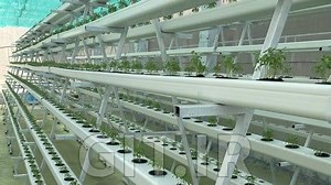 HYDROPONICS MASTERCLASS
